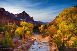 Zion, Fall color-4664 Zion, Fall color-4664
